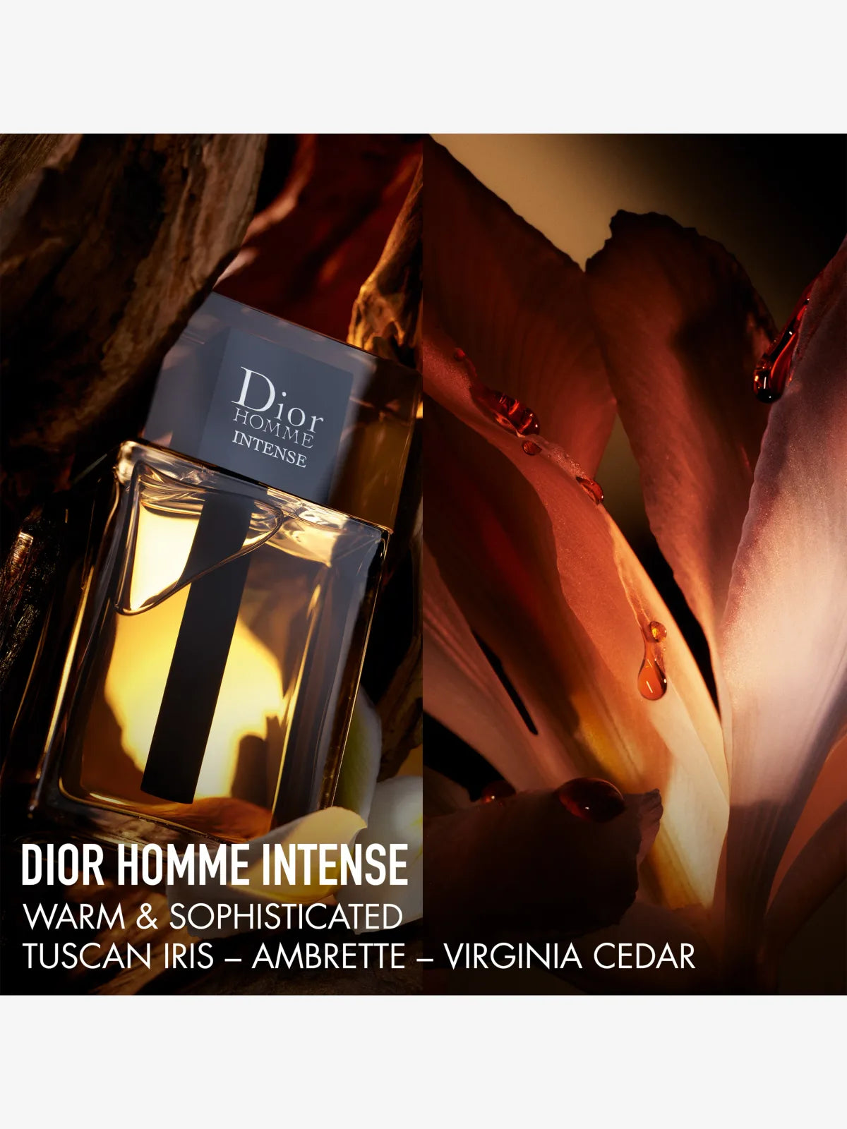 Dior Homme Intense